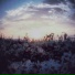 LOVELYGOD, 1whysky