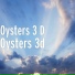 Oysters 3 D