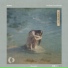 vlows, Disruptive LoFi