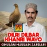 Ghulam Hussain Zardari