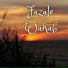Fazal Wahab Dard
