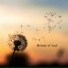 Melody of the Soul