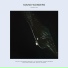 Matthewdavid's Mindflight