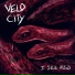 Velo City