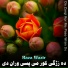 Raza Wazir