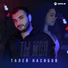 Талей Насибов