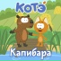 Kote