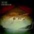 Tim Finn