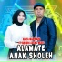 Nazia Marwiana feat. Ageng Music, Brodin