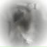 Collapse