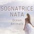 Ocean Animals