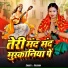 Krishna Ajora