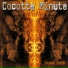 Cocotte Minute