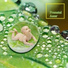 Pre-Birth Comfort White Noise