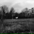 Flatsound
