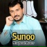 Maqbool Aseer