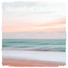 Nature Sounds to Relax