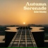 Guitar Relaxing