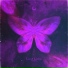 SPXCE