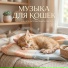 Евгений Морозов, Музыка для кошек
