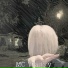 MC Vladyy