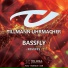 TTF11