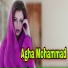 Agha Mohammad