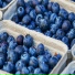 BlueberryYear