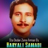 Baryali Samadi