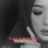 Galeri Nidy