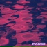 Pau53