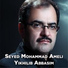 Seyed Mohammad Ameli