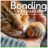 RelaxMyCat