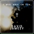 David Jamesy