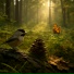 Sommnia, Фон Природа