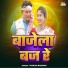 Manish Barwar