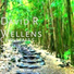 David R Wellens