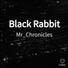 Mr Chronicles