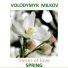 Volodymyr Milkov