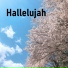 Heaven is Shining