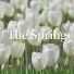 Romantic Speaker