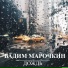 Вадим Марочкин