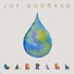 Joe Goddard