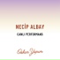 Necip Albay