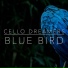 Cello Dreamers