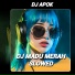 DJ Apok