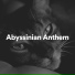 Cat Music Therapy