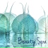 Spa & Spa