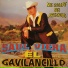 Saul Viera El Gavilancillo