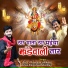 Ishan Minochaa, Ajit C Minochaa